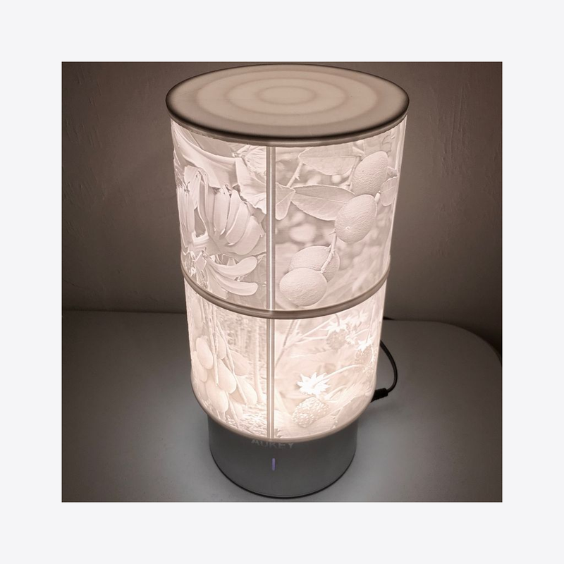 Lithophane Lamp