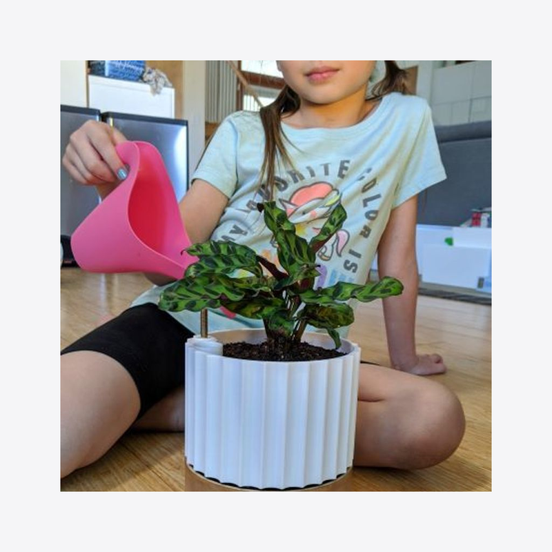 Self-Watering Planter